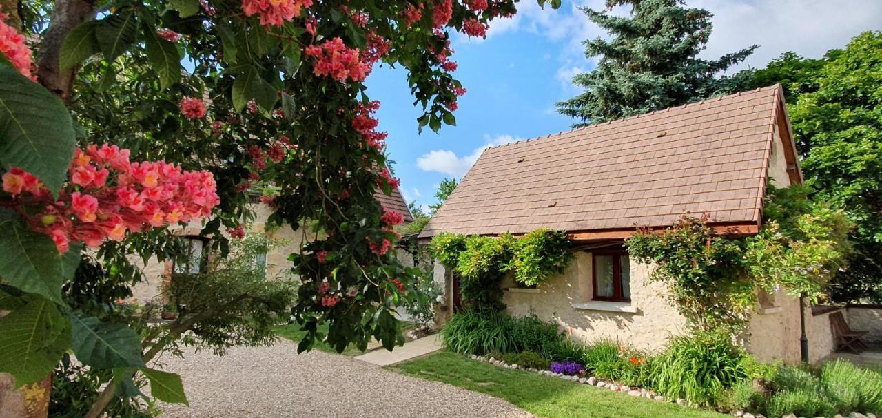 Domaine Des Medards Apartment Beaulieu-sur-Loire Exterior photo
